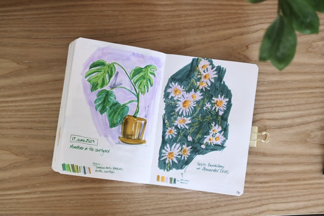 marker sketches of a monstera plant and purple daisies