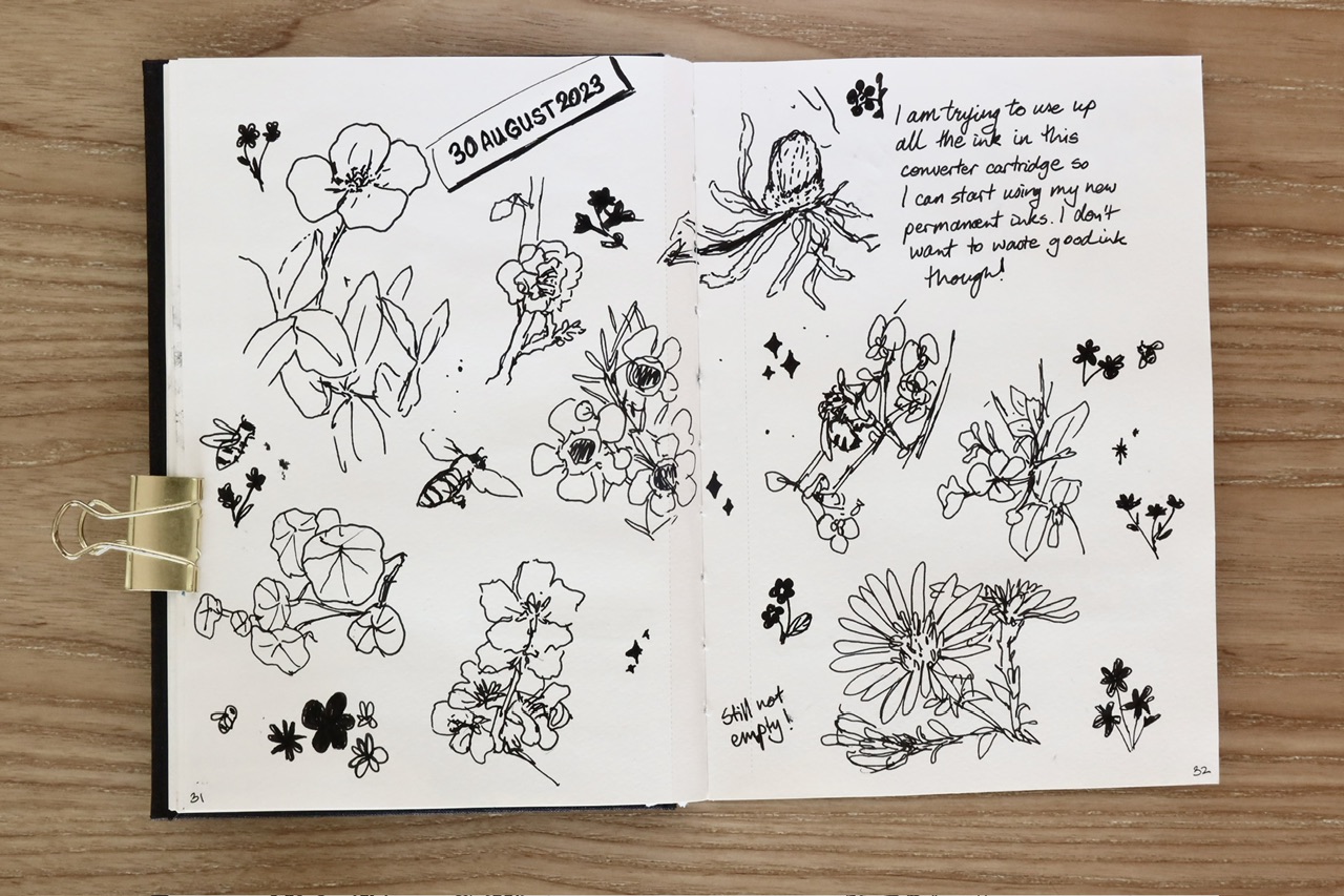 IMG_5174.jpeg|ink sketches of flowers, plants and bees, as I tried to use up an ink cartridge