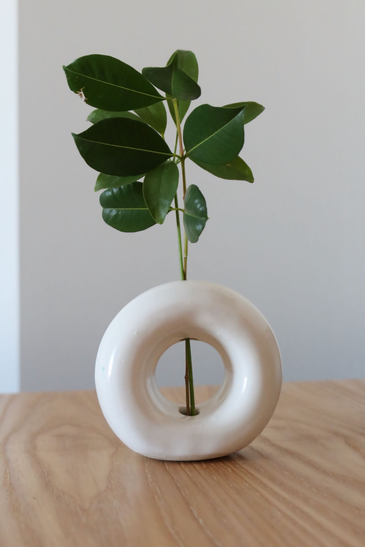 assets/ceramics1.jpeg|Photo of a ceramic vase shaped like a donut with a stem in it"