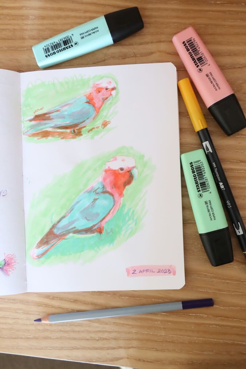 Photo of a sketchbook page - highlighter sketches of galahs