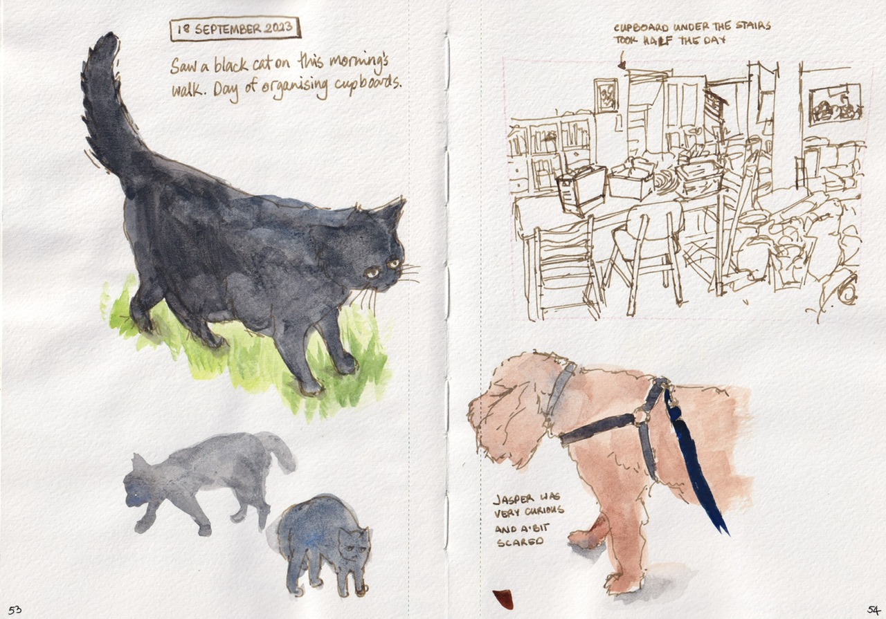 sketchbook3 6.jpeg|watercolour sketches of a black cat and my dog, ink sketch of a room in disarray as I was organising a cupboard